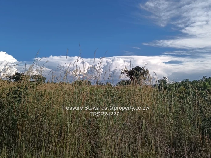 Silver Brooke Residential Stand